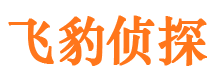 汝阳侦探公司